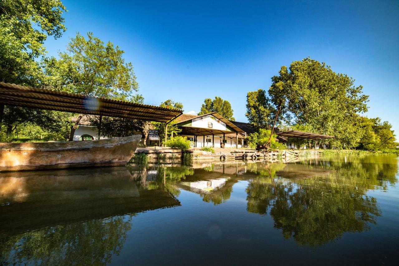 Zen Eco Villa Sfântu Gheorghe Exteriör bild